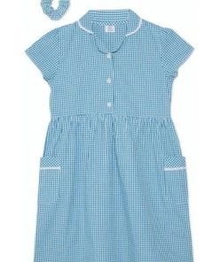 M&Co Blue BTS Gingham Dress -M&Co Sales Shop unnamed file 674