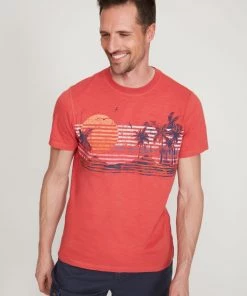 M&Co Red Graphic T-Shirt -M&Co Sales Shop unnamed file 88 scaled